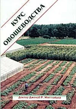 Джекоб Миттлайдер Курс овощеводства по Миттлайдеру обложка книги