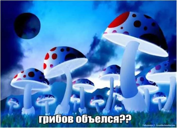 Поэтому Гроф отошел от ЛСД и занялся холотропным дыханием Из холотропки нас - фото 26