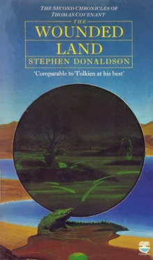 Stephen Donaldson The Wounded Land обложка книги