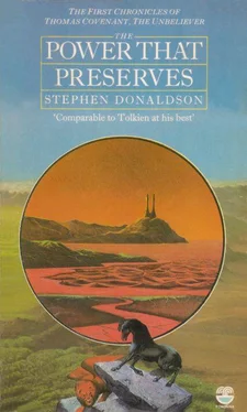 Stephen Donaldson The Power That Preserves обложка книги