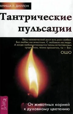 Аниша Диллон Тантрические пульсации. От животных корней к духовному цветению обложка книги