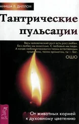 Аниша Диллон - Тантрические пульсации. От животных корней к духовному цветению