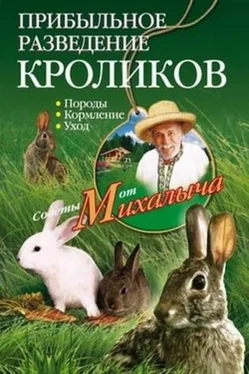 Николай Звонарев Прибыльное разведение кроликов. Породы, кормление, уход обложка книги