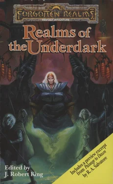 Mark Anthony Realms of the Underdark обложка книги