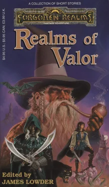 Douglas Niles Realms of Valor обложка книги