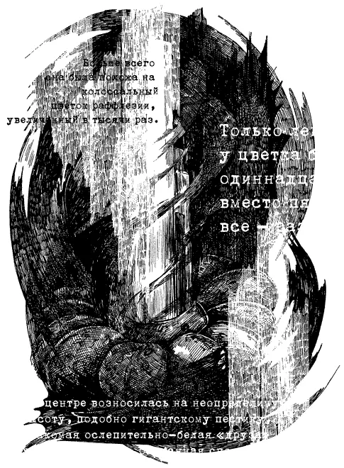 Некоторое время никто не мог произнести ни слова взирая на открывшийся кошмар - фото 4