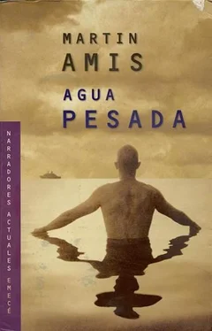 Martin Amis Agua Pesada обложка книги