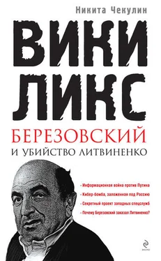 Никита Чекулин «ВикиЛикс», Березовский и убийство Литвиненко. Документальное расследование обложка книги