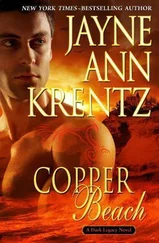 Jayne Krentz - Copper Beach
