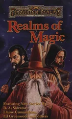 R. Salvatore - Realms of Magic
