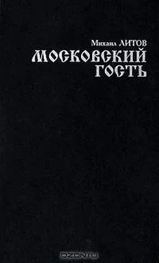 Михаил Литов Московский гость обложка книги