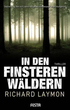 Richard Laymon In den finsteren Wäldern обложка книги