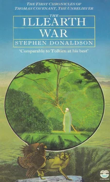 Stephen Donaldson The Illearth War обложка книги