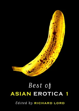 Meihan Booey Best of Asian Erotica, Volume 1 обложка книги