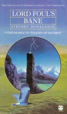 Stephen Donaldson Lord Foul's Bane обложка книги