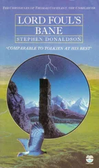 Stephen Donaldson - Lord Foul's Bane