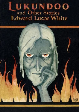 Edward White Lukundoo and Other Stories обложка книги