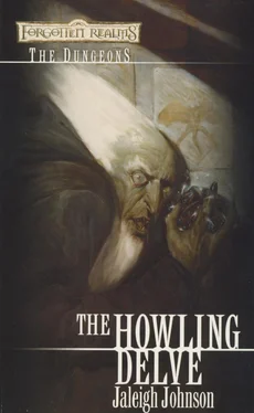 Jaleigh Johnson The Howling Delve обложка книги