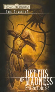 Erik de Bie Depths of Madness обложка книги