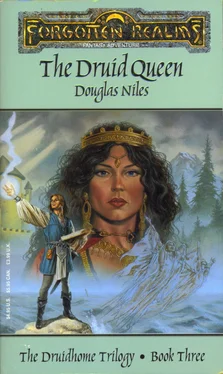 Douglas Niles The Druid Queen обложка книги