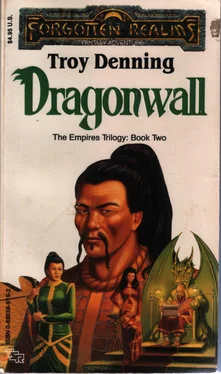 Troy Denning Dragonwall обложка книги