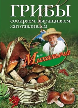 Николай Звонарев Грибы. Собираем, выращиваем, заготавливаем обложка книги