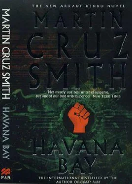 Martin Smith Havana Bay обложка книги