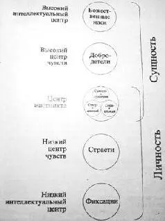 Рис 1 Хотя на рисунке инстинкт представлен как центр принадлежащий как - фото 4