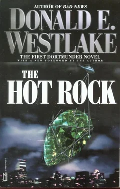 Donald Westlake The Hot Rock обложка книги