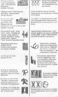 Мачей Кучиньский Зага - фото 240