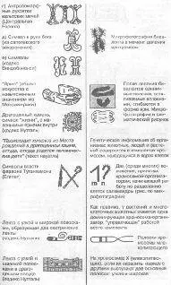 Мачей Кучиньский Загадка Фестского диска и змеепоклонники - фото 241