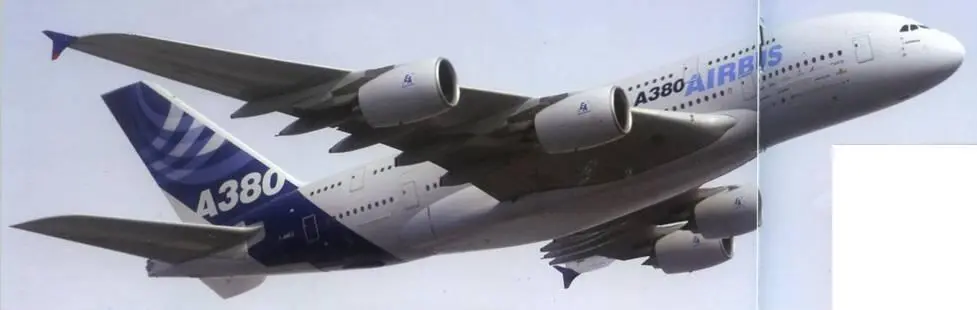 Фото М Брянского В Кобы А Несветаева Д Пичугина Н Gousse Airbus - фото 116