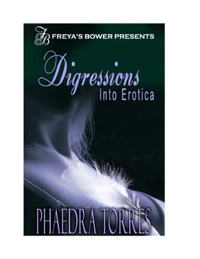 Phaedra Torres Digressions Into Erotica обложка книги