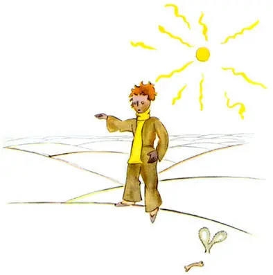 When the little prince arrived on the Earth he was very much surprised not to - фото 30