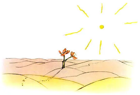 The little prince crossed the desert and met with only one flower It was a - фото 32