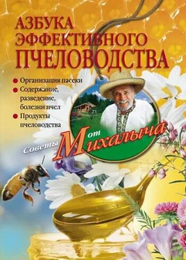 Николай Звонарев Азбука эффективного пчеловодства обложка книги