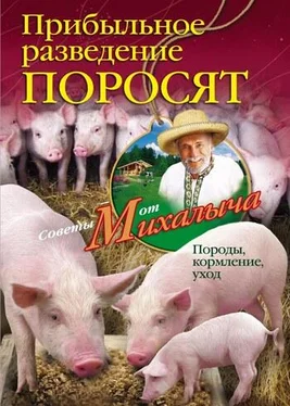 Николай Звонарев Прибыльное разведение поросят. Породы, кормление, уход обложка книги