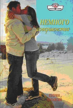 Кэтрин Полански Немного совершенства обложка книги