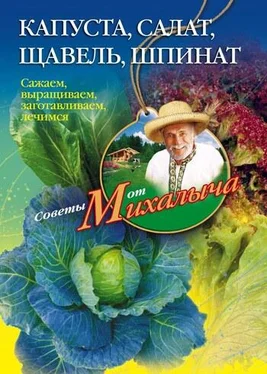 Николай Звонарев Капуста, салат, щавель, шпинат. Сажаем, выращиваем, заготавливаем, лечимся обложка книги