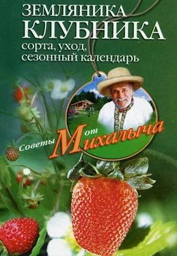 Николай Звонарев Земляника. Клубника. Сорта, уход, сезонный календарь обложка книги