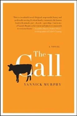 Yannick Murphy The Call обложка книги