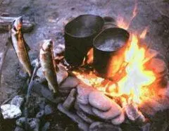 Из великого множества рыбных блюд для походных условий ссылаюсь на собственный - фото 4