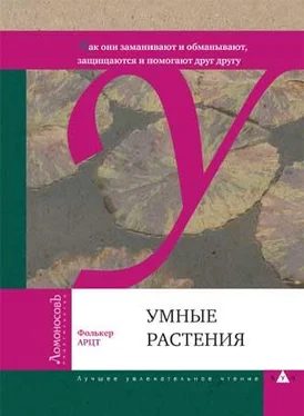 Фолькер Арцт Умные растения обложка книги