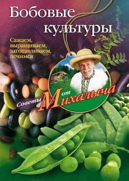 Николай Звонарев Бобовые культуры. Сажаем, выращиваем, заготавливаем, лечимся обложка книги