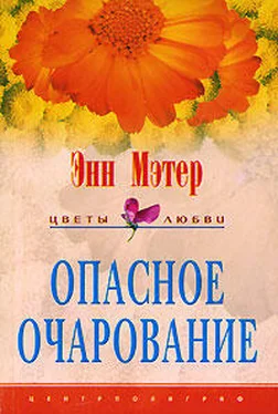 Энн Мэтер Опасное очарование обложка книги