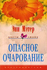 Энн Мэтер - Опасное очарование