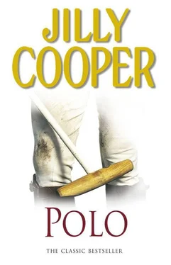 Jilly Cooper Polo обложка книги