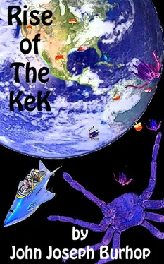 John Burhop Rise of The Kek Screenplay обложка книги