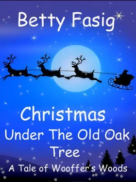 Betty Fasig A Christmas Under The Old Oak Tree обложка книги