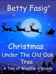 Betty Fasig - A Christmas Under The Old Oak Tree